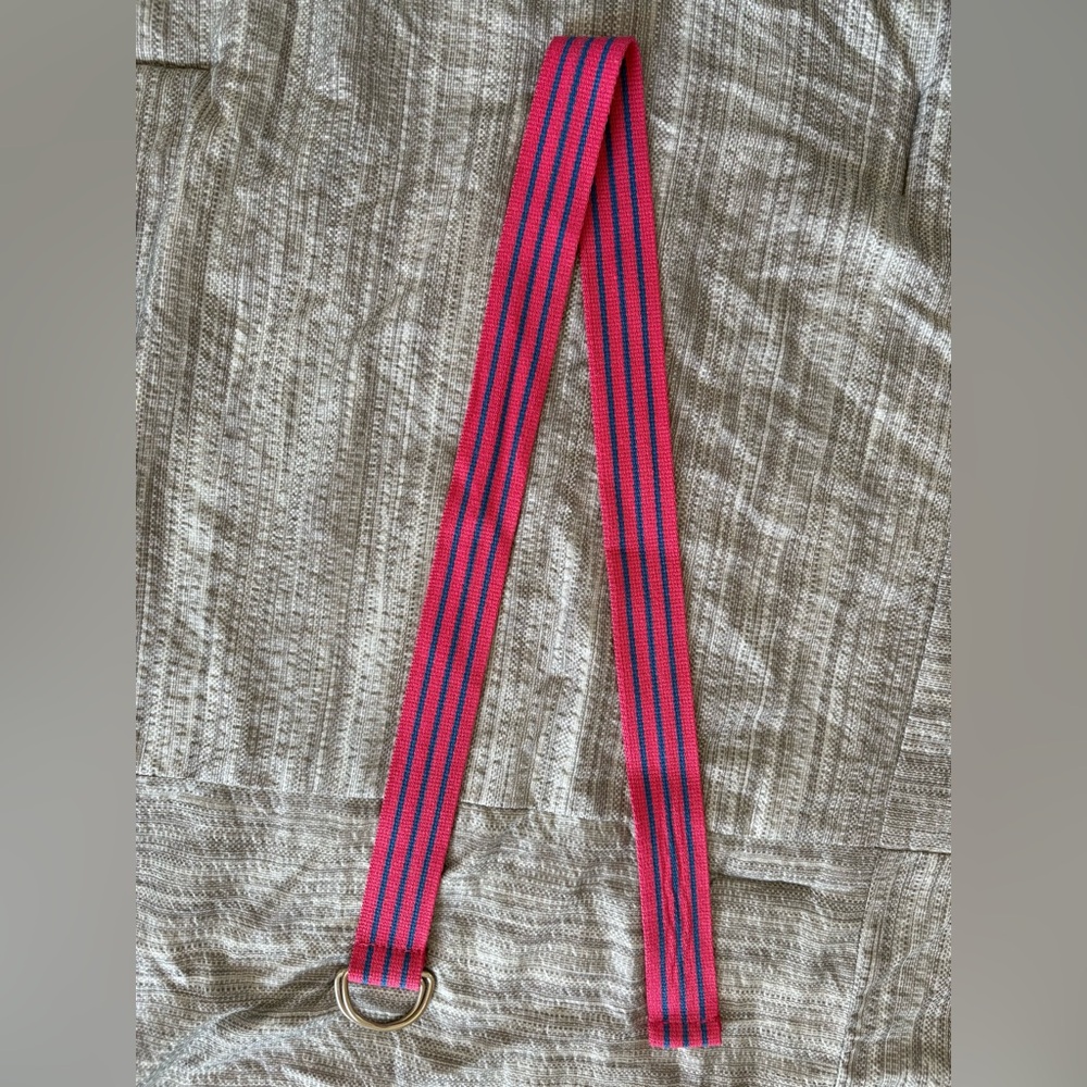 Junior's Pink and Blue Striped Belt